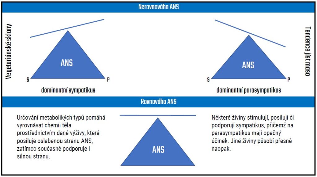 Tabulka Parasympatikus a sympatikus - nerovnováha ANS