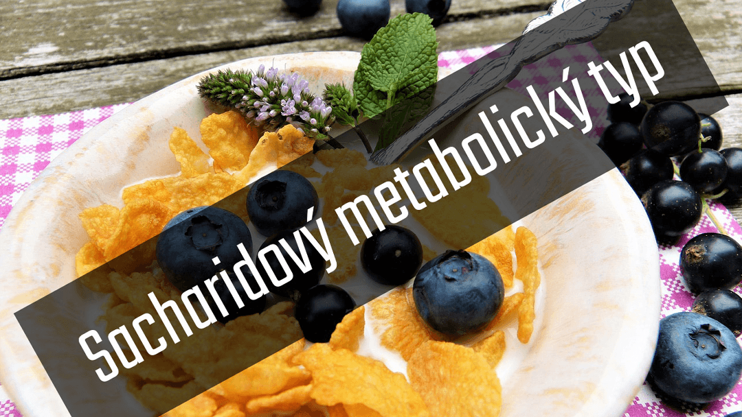 Pomalý metabolismus (sacharidový metabolický typ) – vzorový jídelníček